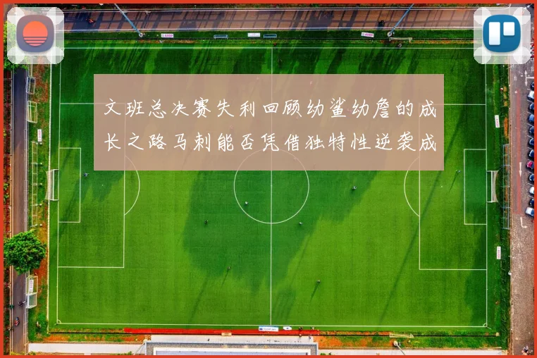 文班总决赛失利回顾幼鲨幼詹的成长之路马刺能否凭借独特性逆袭成功