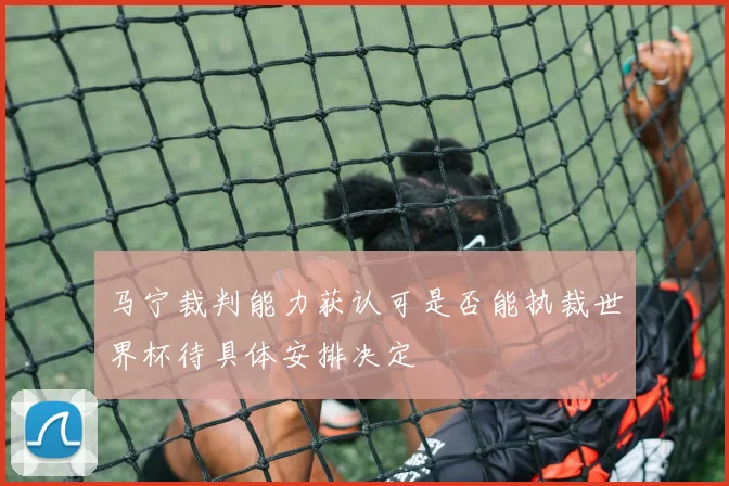 马宁裁判能力获认可是否能执裁世界杯待具体安排决定